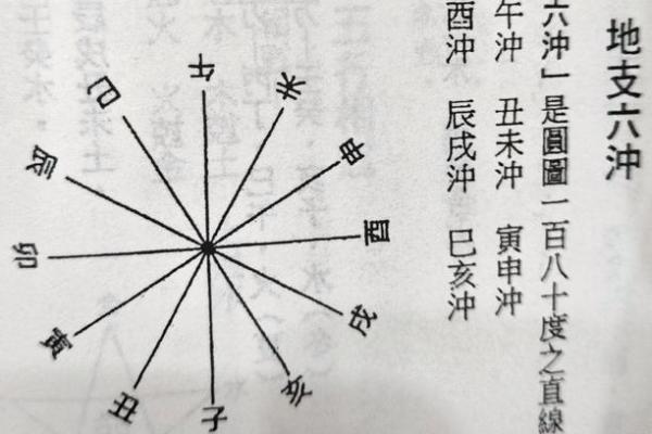 八字申巳