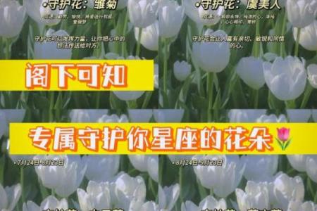 9月23日是什么星座