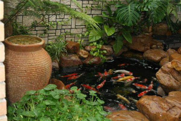 家庭鱼池风水 家庭鱼池风水摆放