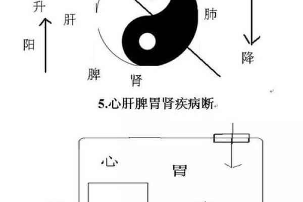 商业本质共通下的风水秘诀揭秘