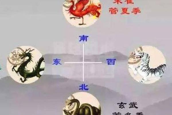 风水的左青龙右白虎是什么意思