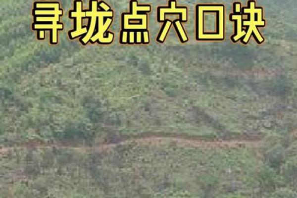 阴宅的周围山路风水，有何讲究