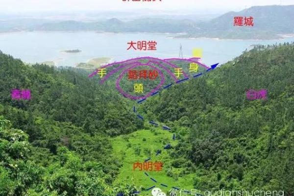 子女总是能当官的祖坟风水