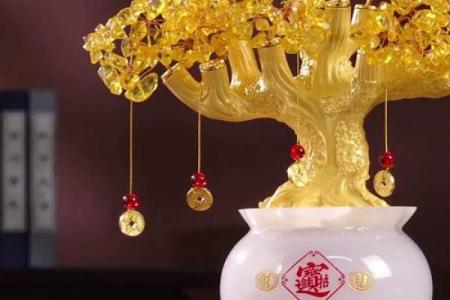 开门招财的住宅风水，改善财运