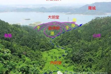 子女总是能当官的祖坟风水