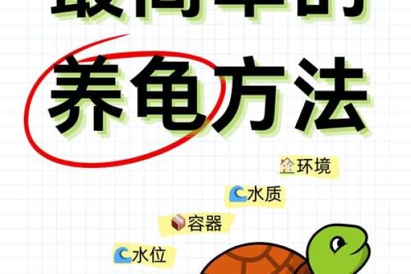 家里养乌龟需注意哪些风水问题