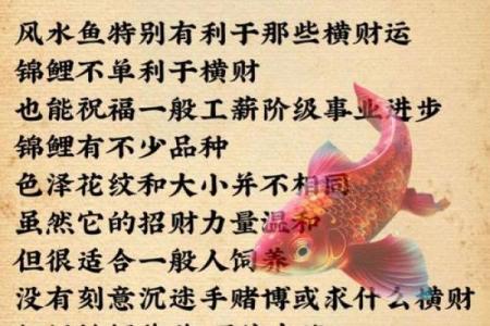 家里养风水鱼养几条比较好？有什么讲究吗？