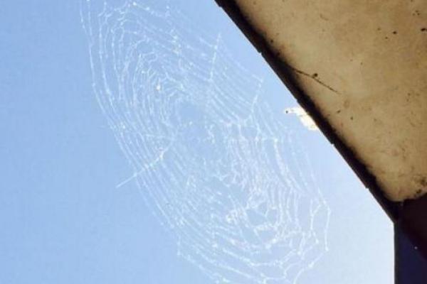 老房子会有蜘蛛网嘛风水