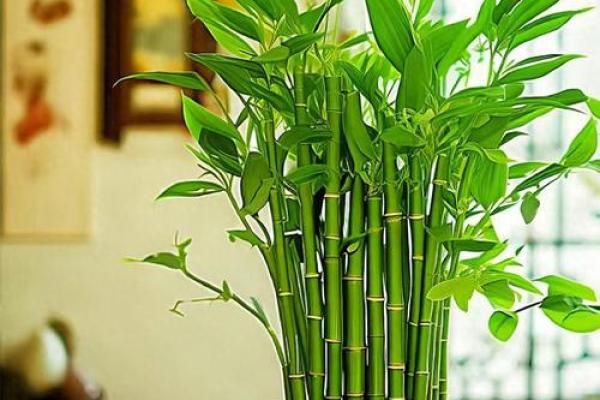 假花不要摆放在家里的哪里，有哪些风水讲究呢