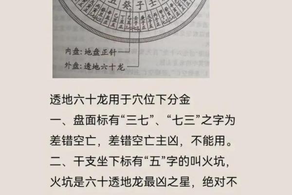 风水房子在龙肚子好吗 风水房子在龙肚子好吗