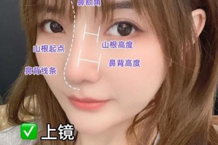 面相风水鹰钩鼻女人的好处和缺点