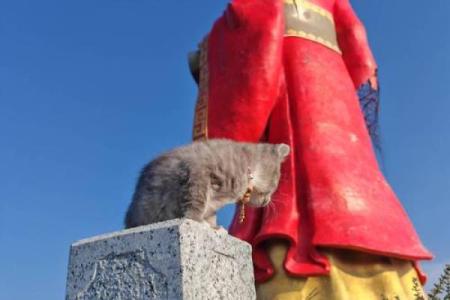 月老灵签63签详解姻缘