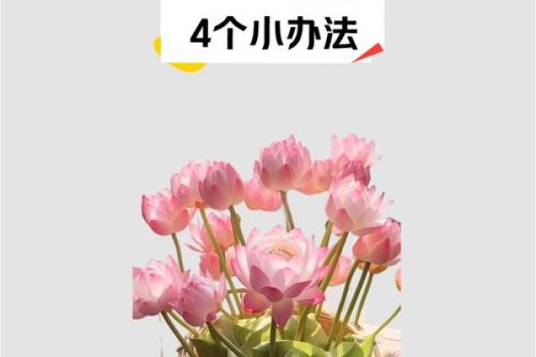 学会用风水增强事业运帮你减压