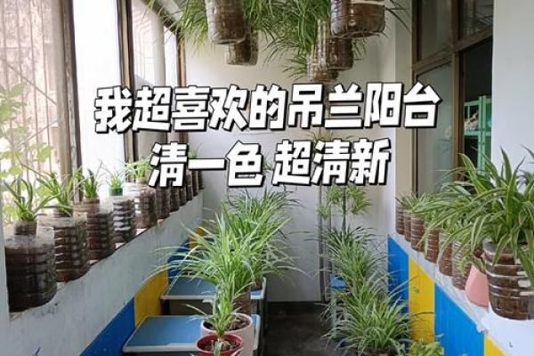 小阳台风水,切记这些好运常来 小阳台风水,切记这些好运常来