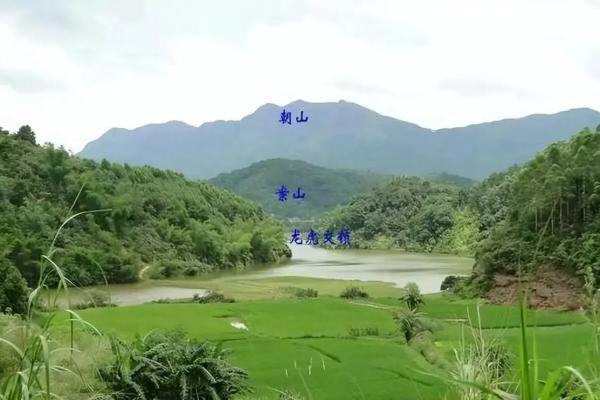 单身者福音,有利于爱情的风水 单身者福音,有利于爱情的风水