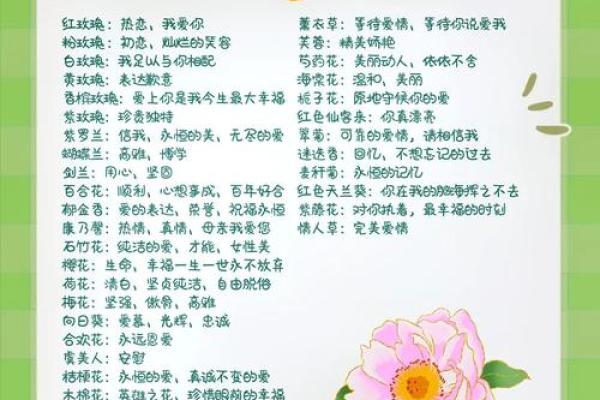 需重视风水十大吉祥花忌讳禁忌