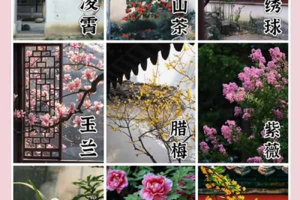 需重视风水十大吉祥花忌讳禁忌