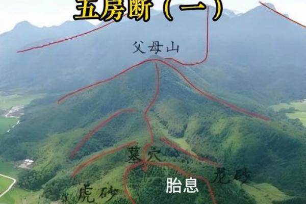 居住风水_房子到底住山跟前好