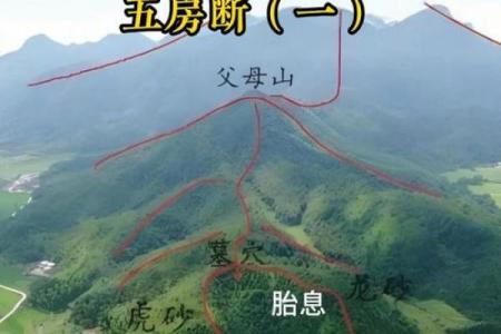 居住风水_房子到底住山跟前好