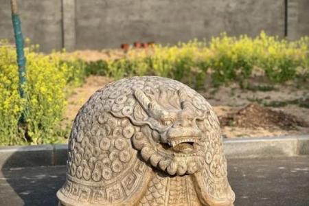 风水龙龟摆件摆在家的什么位置好