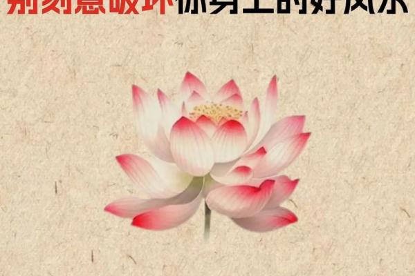 漏财的风水习惯你知道吗 漏财的风水习惯你知道吗