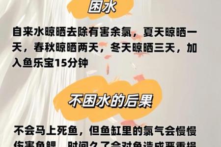 家里养鱼也是有一些风水禁忌的