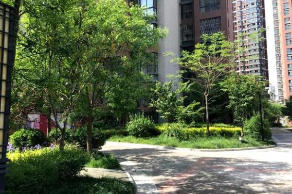 什么样的房子风水好_买房子挨着植物园好还是湖好