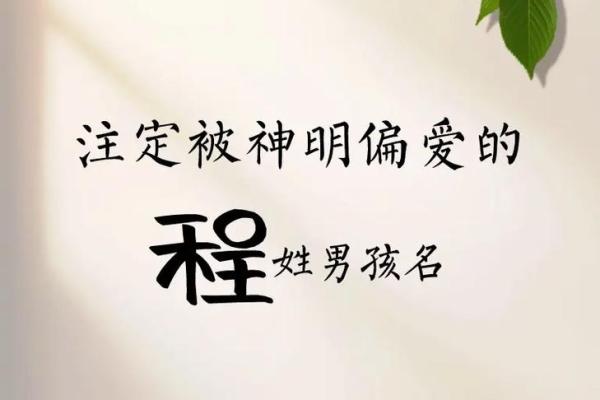 程姓男孩名字大全-程姓男孩起名字大全-程姓名字大全姓名 程姓男孩名字大全-程姓男孩起名字大全-程姓名字大全姓名
