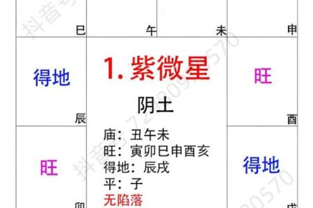 紫薇斗数主星长相