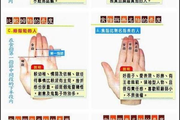 手型算命:土型手人的性格与命运 手型算命:土型手人的性格与命运