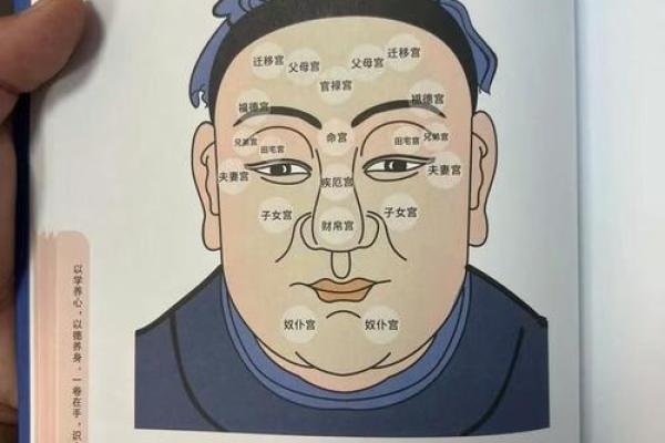 鼻头大的男人面相在风水中有哪些含义