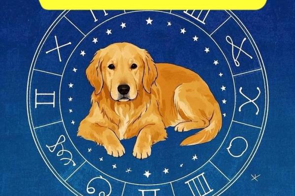 晚上十点出生的属狗男孩怎么取名，用什么字姓名