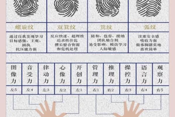 指纹算命 十指指纹算命查询 指纹算命 十指指纹算命查询