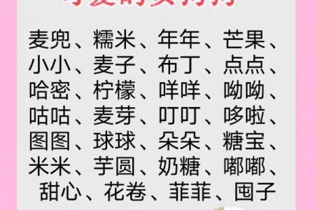 晚上十点出生的属狗男孩怎么取名，用什么字姓名