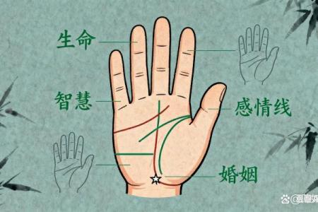 女性怎么看手相算命 手掌绵软厚实命中带有富贵