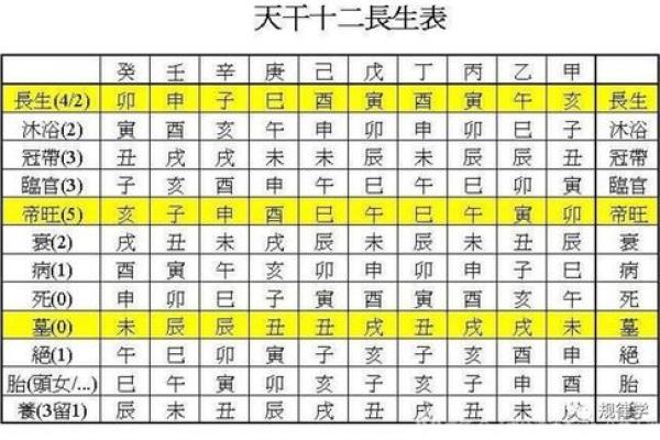 以八字为依据 十二长生是什么 以八字为依据 十二长生是什么