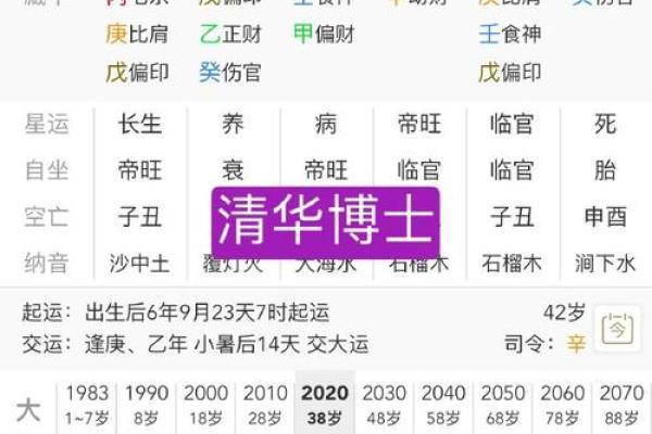 八字带有戌亥人上人,八字带戌亥是什么意思