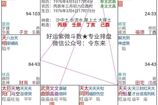 紫微斗数与四柱八字共参 紫微斗数与四柱八字共参