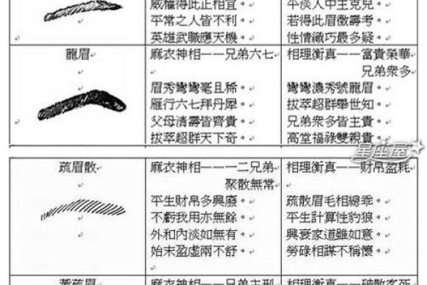 面相风水女人十大富贵眉毛你有吗