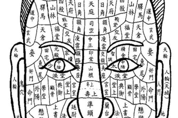面相图解-弓丧眉算命及性格特征
