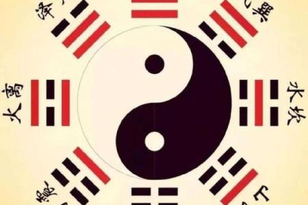 八字财运看什么