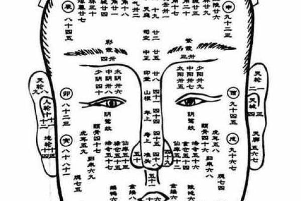 五官看面相算命图解男 男人五官面相大全 五官看面相算命图解男 男人五官面相大全