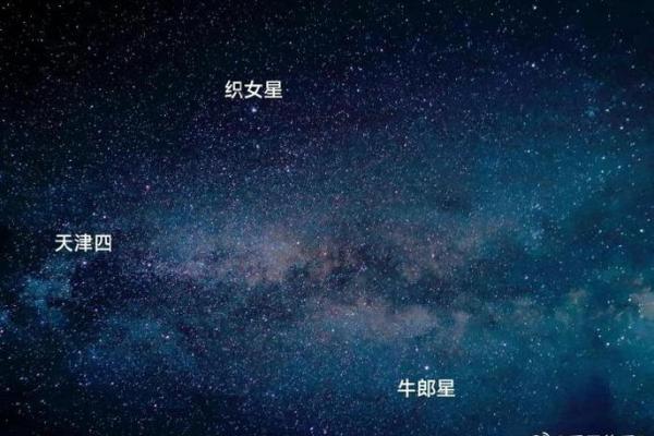 牛郎星是属于什么星座