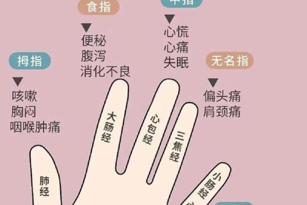 五指山算命哪里准