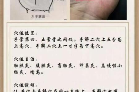 五指山算命哪里准