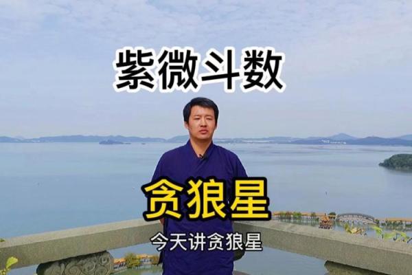 紫微斗数－贪狼星