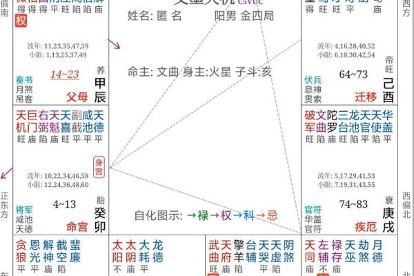 紫微斗数图录 紫薇斗数图？