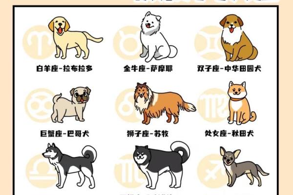 12星座狗,12星座谁最凶 12星座狗,12星座谁最凶