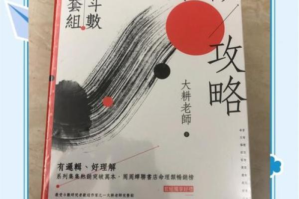 紫薇斗数案例书籍 紫薇斗数案例书籍