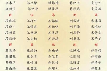 属猪巳时出生的男孩如何取名字，适合用什么字姓名